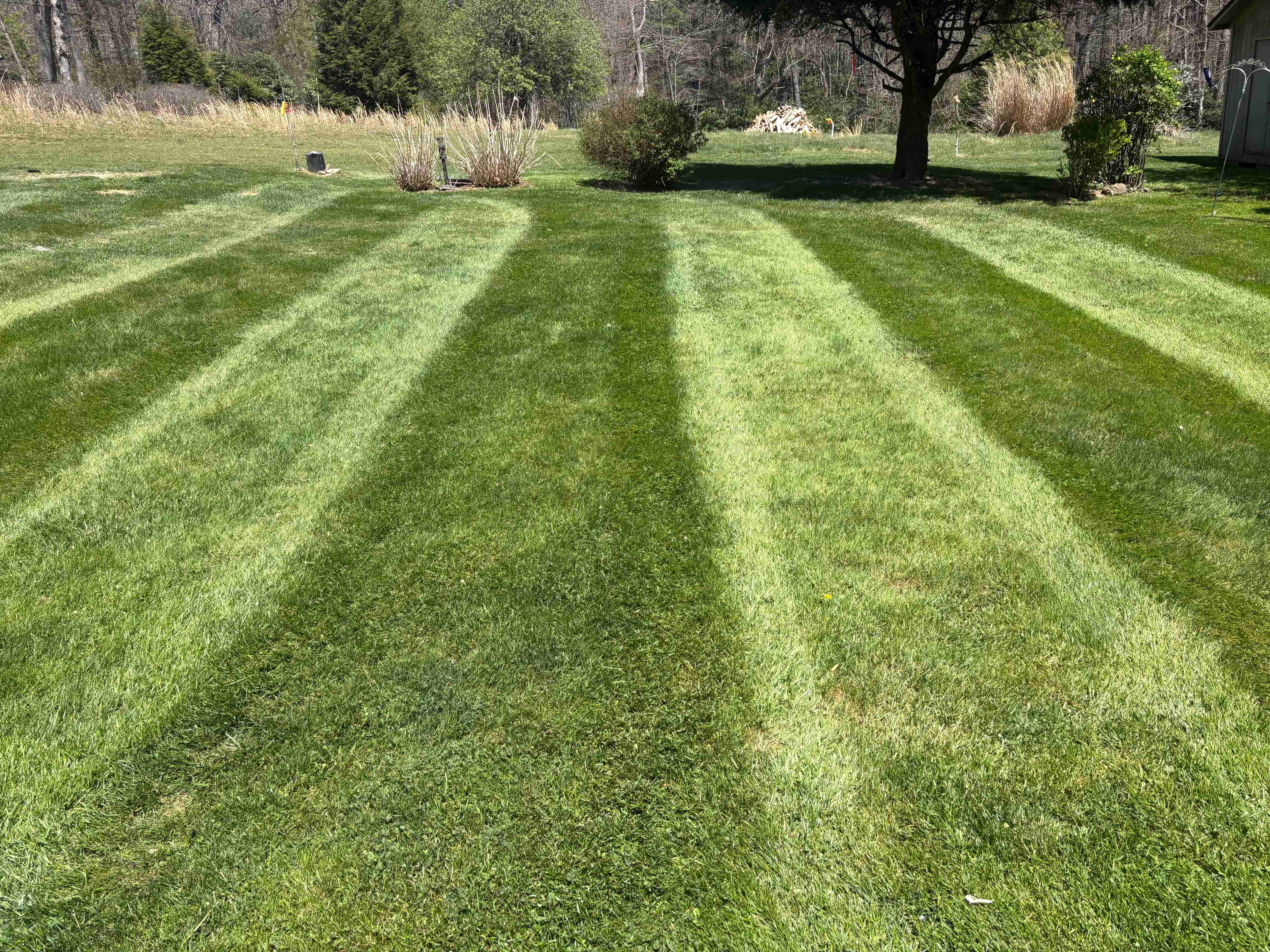 Defined lawn edges and planting beds with tidy line work