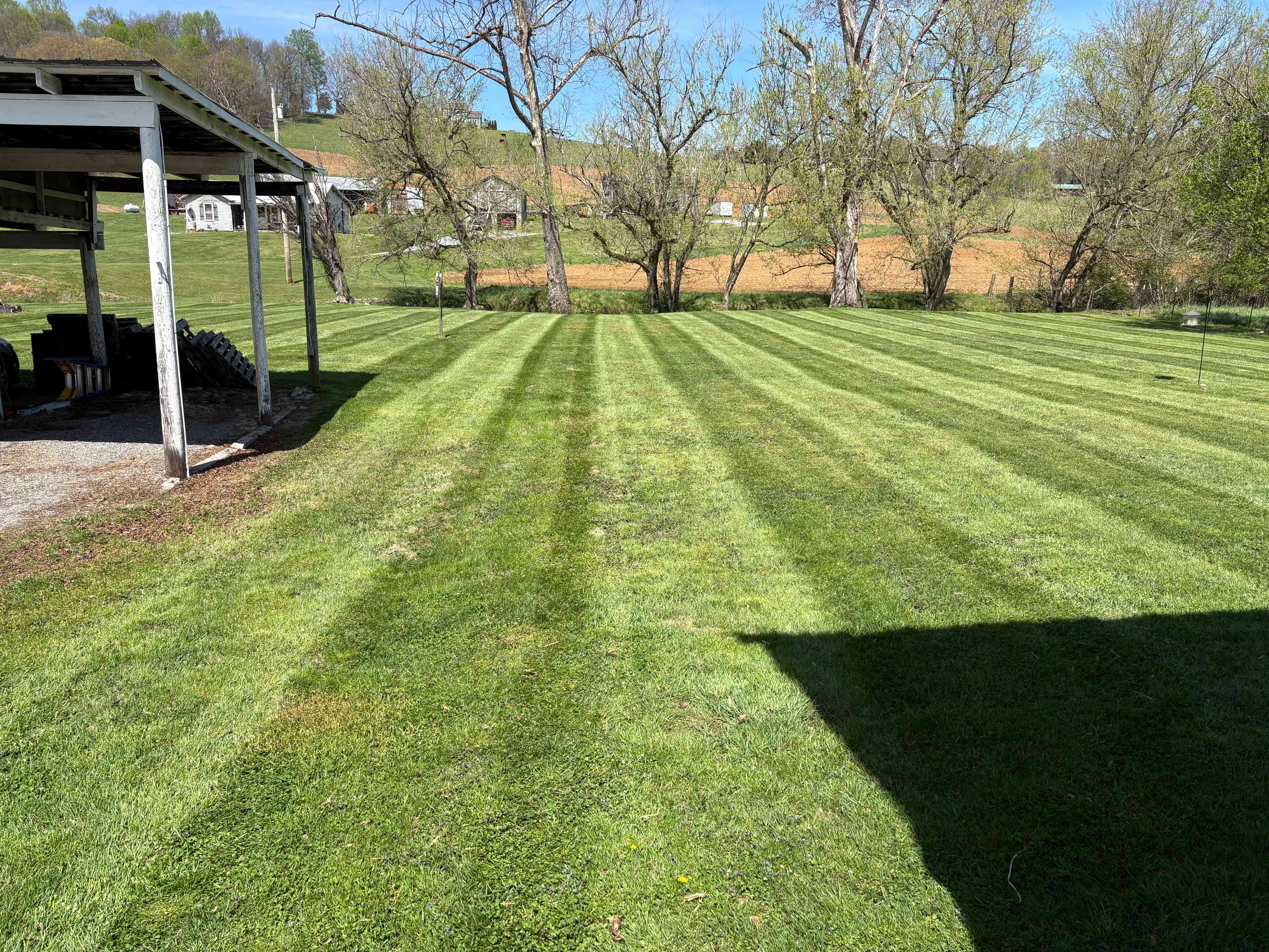 Freshly striped lawn in a Carter County residential yard
