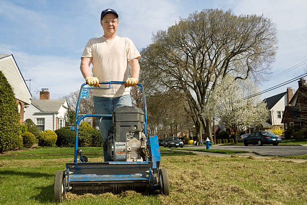 Man using a power dethatcher on a suburban lawn to remove brown thatch
