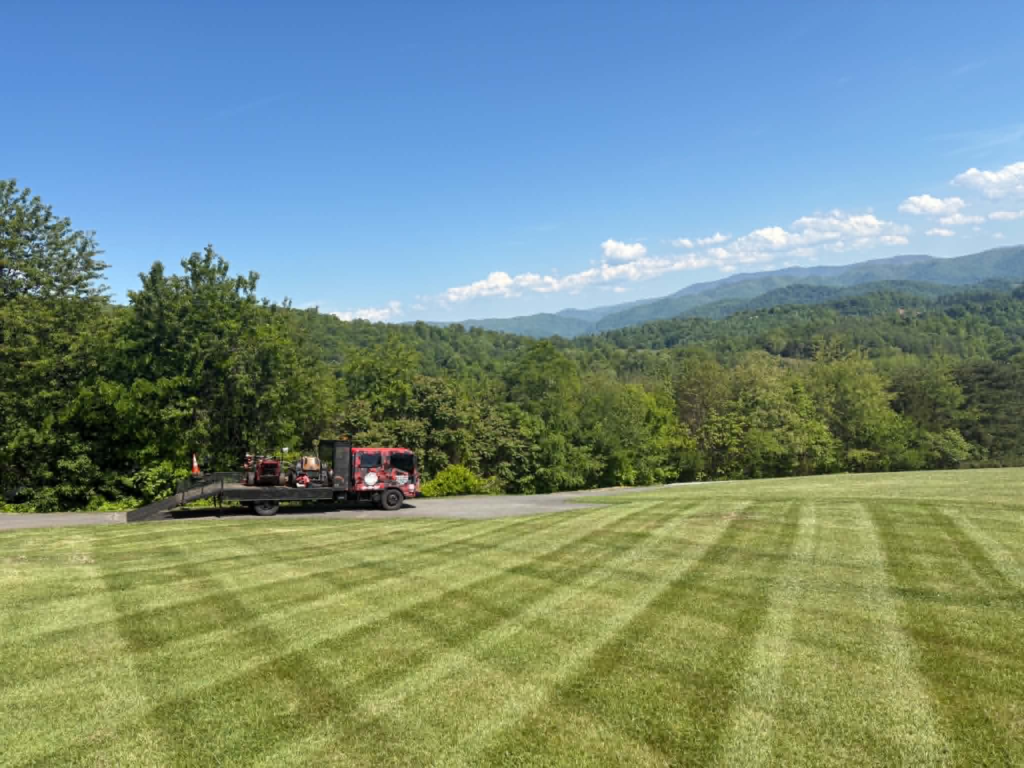 Close-up of healthy green lawn grass in sunlight